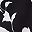 Black Bold Floral