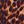Brown Painterly