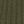Dark Olive Green