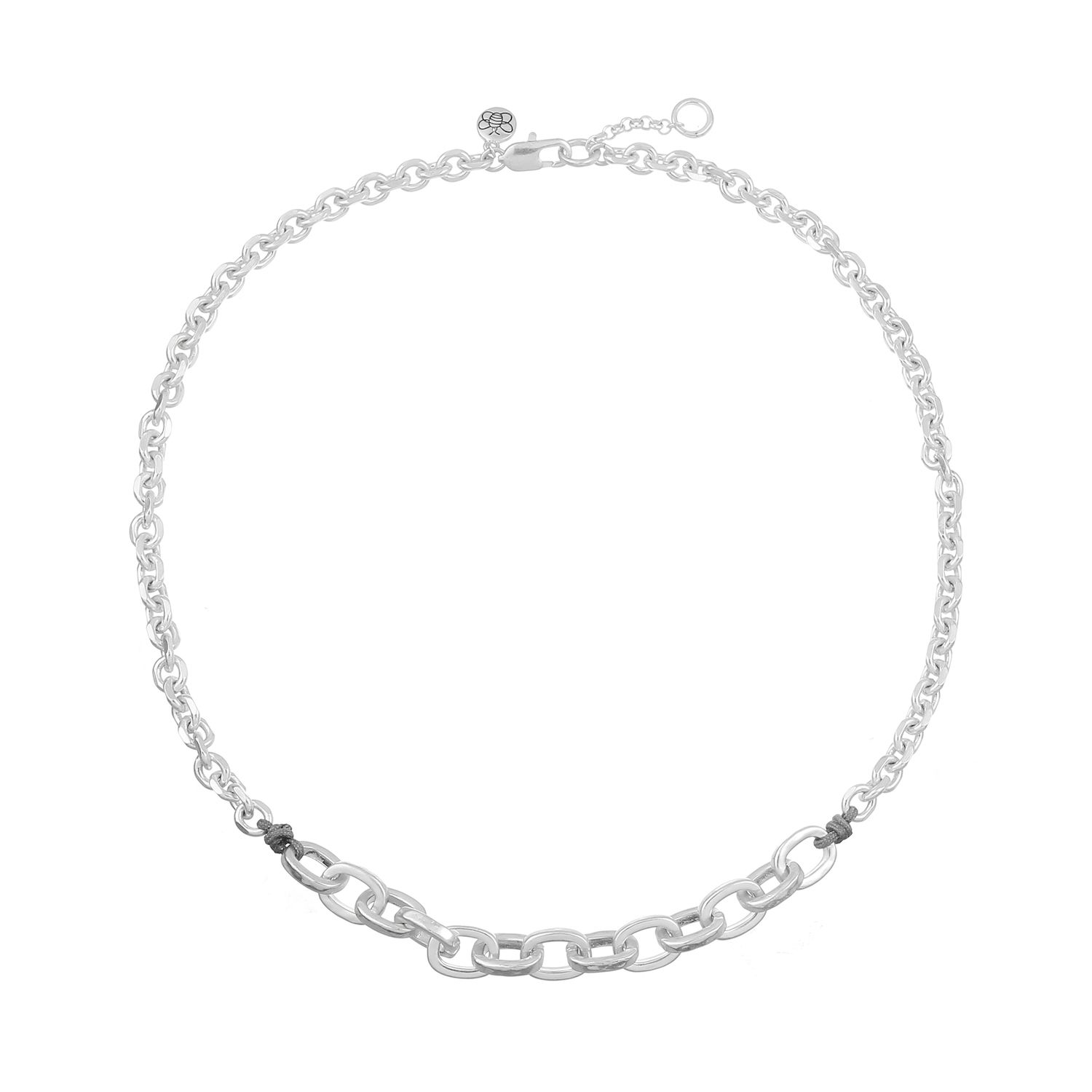 Nushine Silver Plating Solution - Restaurateur D'argent 100ml