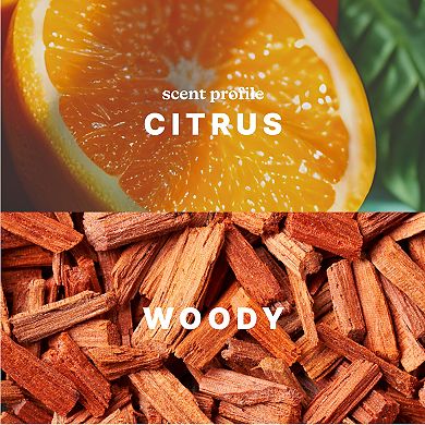 HoMedics Mandarin & Basil SereneScent Fragrance Oil
