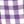 Purple Orchid Gingham