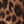 Brown Painterly