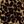Brown Painterly