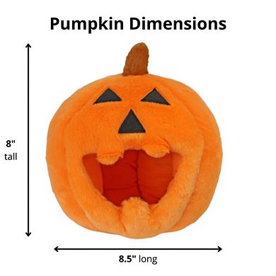 Midlee Pumpkin Find A Toy Halloween Dog Toy