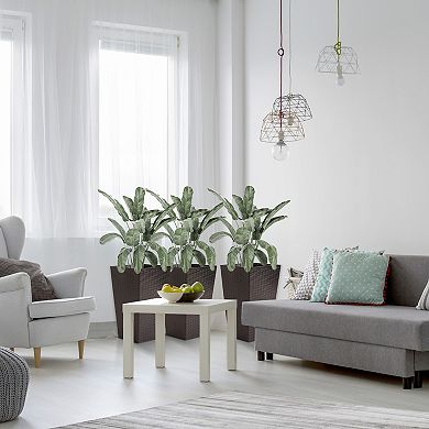 Outsunny Set of 3 Tall Planters, Indoor and Outdoor Flower Pot Set