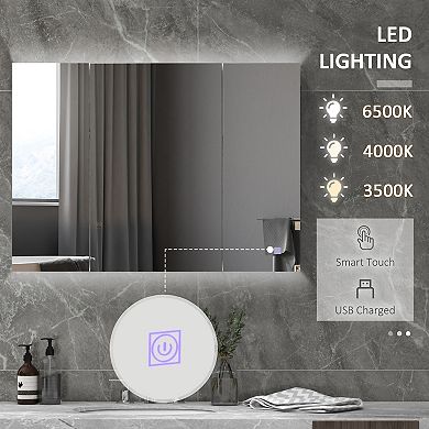 Led Lighted Medicine Cabinet, Bathroom Mirror Cabinet With Adjustable Shelves