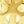 Gold Tone