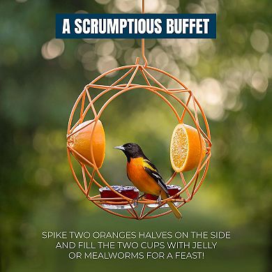 Mekkapro Sun Baltimore Oriole Feeder For Outdoors, Jelly And Orange Metal Bird Feeder (2 Cups)