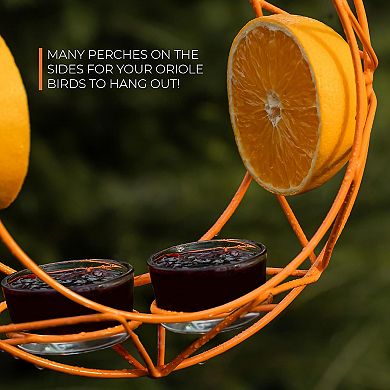 Mekkapro Sun Baltimore Oriole Feeder For Outdoors, Jelly And Orange Metal Bird Feeder (2 Cups)