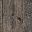 Weathered Gray