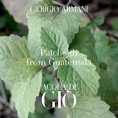 Acqua di Gio Profondo Eau de Parfum Spray with Mandarin & Patchouli