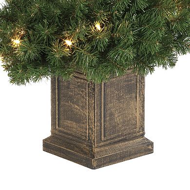 Gerson 2-Pack 3.5-ft. Pre-Lit Warm White LED Potted Spiral Tree Set