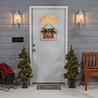 Gerson 2-Pack 3.5-ft. Pre-Lit Warm White LED Potted Spiral Tree Set