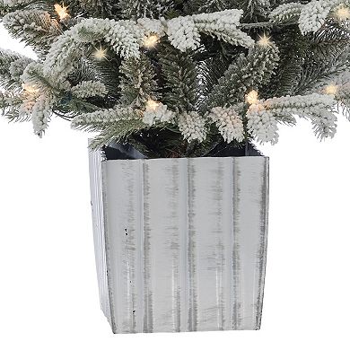 Gerson Elegant 4.5-ft. Potted Natural Cut Lightly Flocked Iceland Fir Tree with Warm White LED Lights