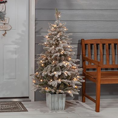 Gerson Elegant 4.5-ft. Potted Natural Cut Lightly Flocked Iceland Fir Tree with Warm White LED Lights