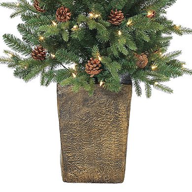Gerson Charming 4-ft. Potted Natural Cut Georgia Pine Tree in Fiberglass Pot