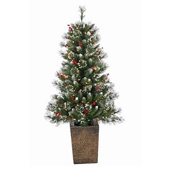 Gerson Elegant 4-ft. Potted Mixed Needle Glacier Pine Tree
