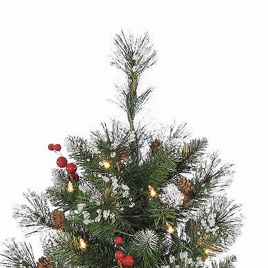 Gerson Elegant 4-ft. Potted Mixed Needle Glacier Pine Tree