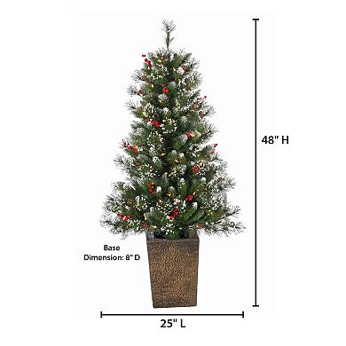 Gerson Elegant 4-ft. Potted Mixed Needle Glacier Pine Tree