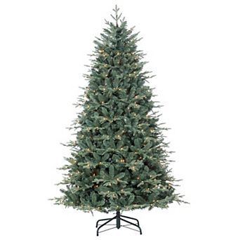 Gerson 6.5-ft. Pre-Lit Warm White LED Natural Cut Blue Spruce Christmas Tree