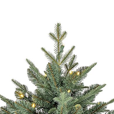 Gerson 6.5-ft. Pre-Lit Warm White LED Natural Cut Blue Spruce Christmas Tree