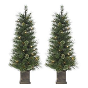 Gerson 2-Pack Elegant 4-ft. Potted Hard Needle Cashmere Tree Set with Warm White LED Lights