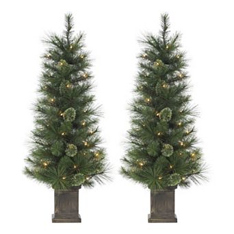 Gerson 2-Pack Elegant 4-ft. Potted Hard Needle Cashmere Tree Set with Warm White LED Lights