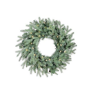 Gerson 24-in. Pre-Lit Warm White LED Blue Spruce Wreath