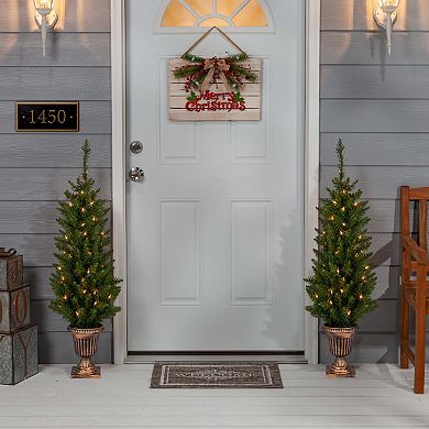 Gerson 2-Piece 3.5-ft. Pre-Lit Warm White UL Potted Cedar Pine Christmas Tree Set