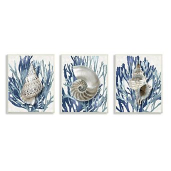 Stupell Home Decor Trio of Shell Coral Blue Beach Design Wall Art