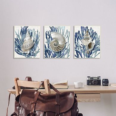 Stupell Home Decor Trio of Shell Coral Blue Beach Design Wall Art