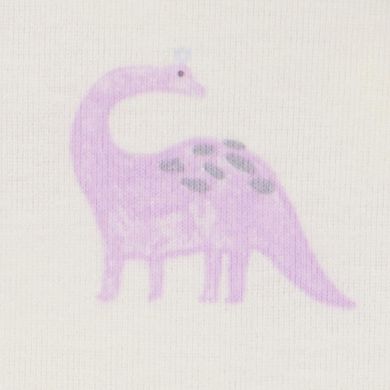 Baby Girl Carter's 4-Piece Dinosaur Print Snug Fit Cotton Pajamas