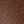 Medium Brown