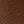 Medium Brown
