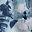 Navy Flowerblur