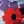 Poppy Red Ikatbloom