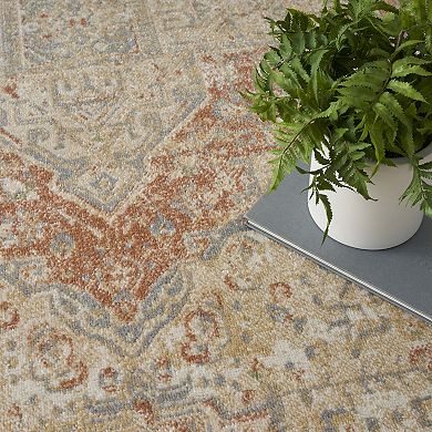 Nourison Essentials Persian Medallion Indoor / Outdoor Area Rug