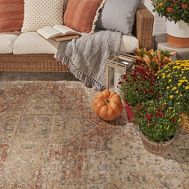 Nourison Essentials Persian Medallion Indoor / Outdoor Area Rug