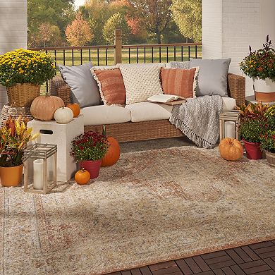 Nourison Essentials Persian Medallion Indoor / Outdoor Area Rug