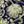 Navy Green Floral
