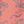 Faded Peach Marlin