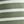 Olive White Stripe