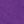Purple Orchid