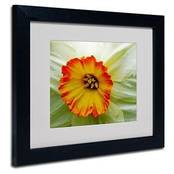 Kathie McCurdy 'Furnace Run Daffodil Large' Matted Framed Wall Art