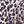 Animal Print