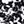 Black Mono Floral
