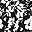 Black Mono Floral