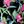 Black Tropical Floral