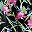 Black Tropical Floral